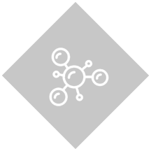 藥物研發(fā)